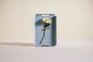 Arlo Tray Reef