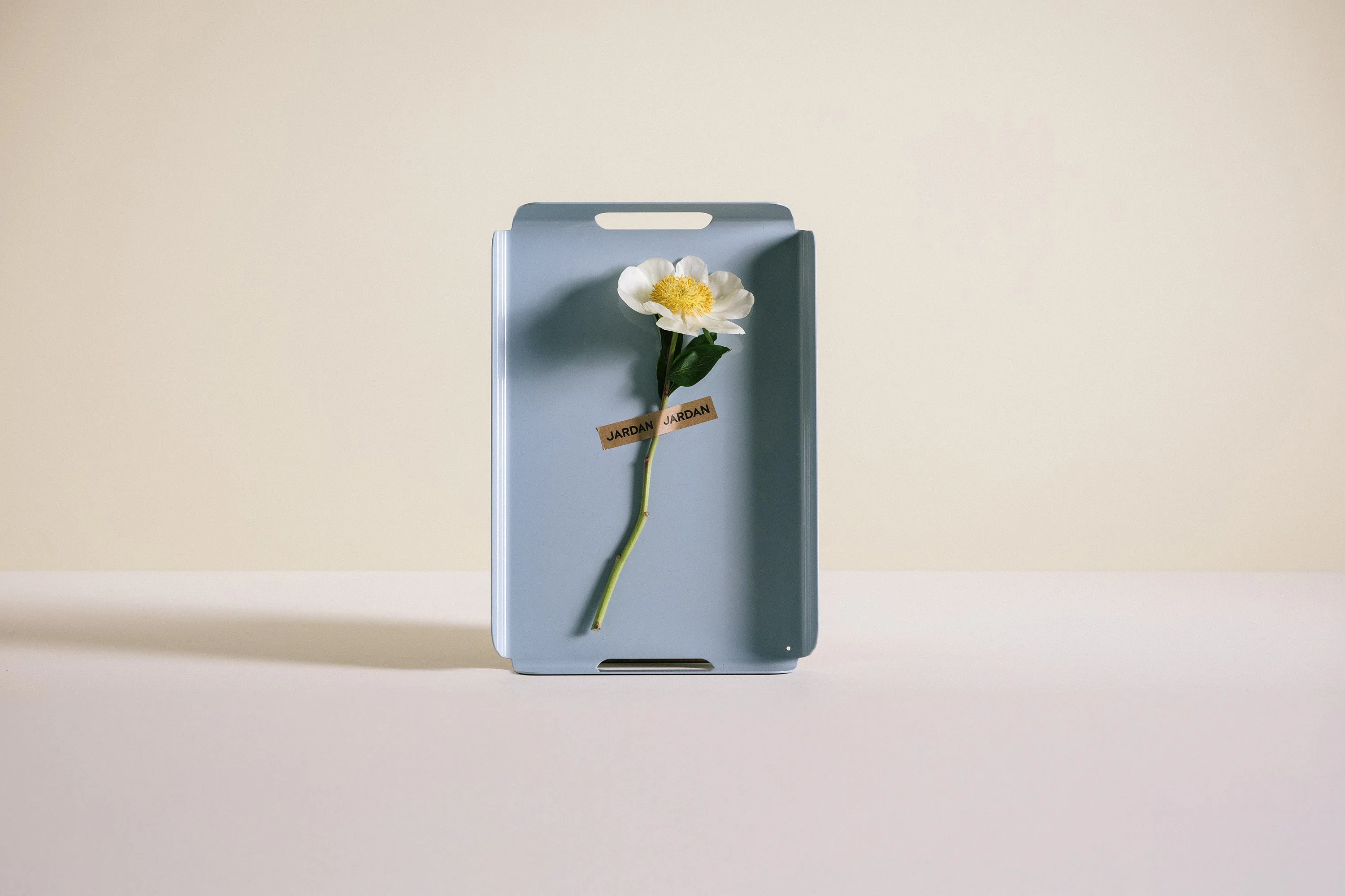 Arlo Tray Reef