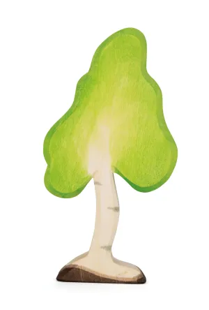 Birch Small New 2024 (30502) - Ostheimer