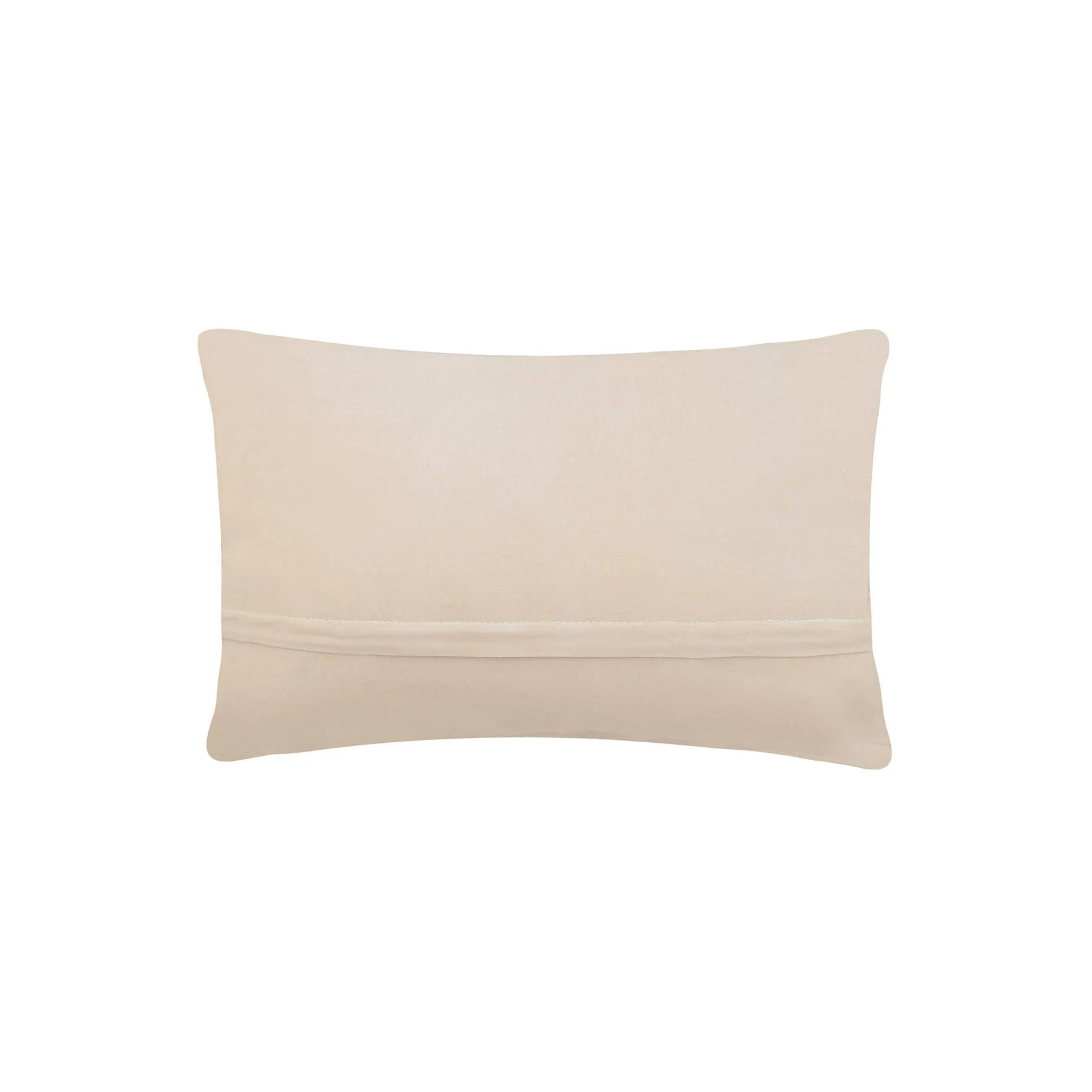 Cactus Hook Pillow