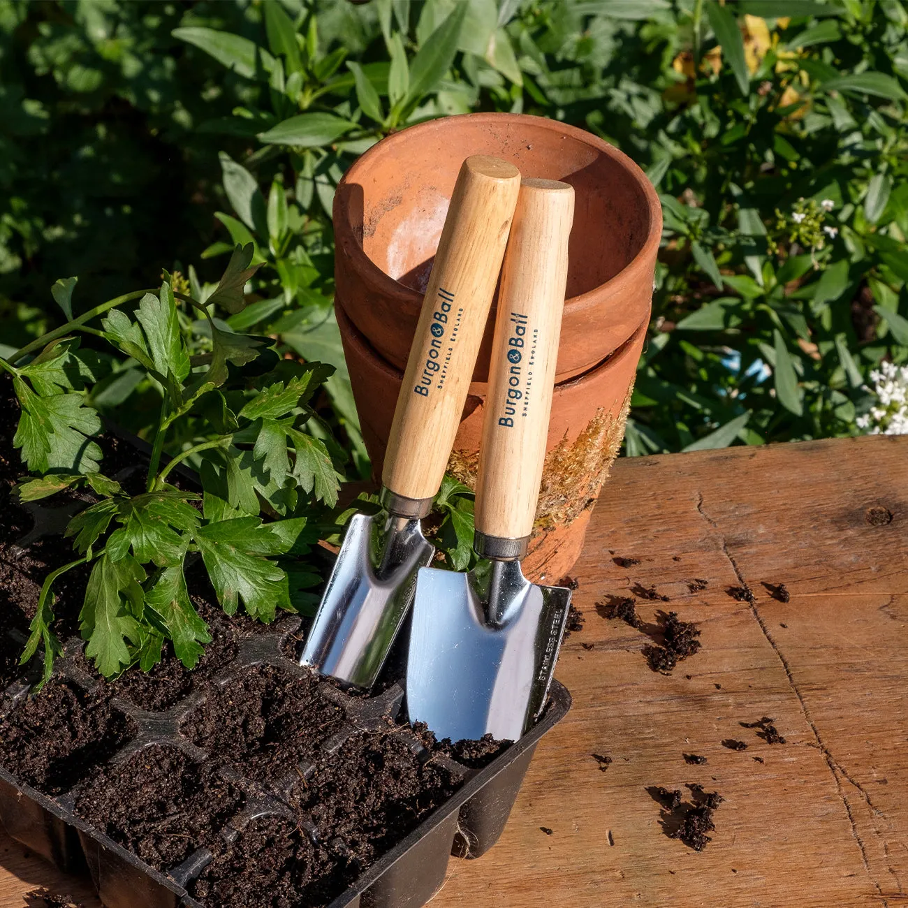 Cell Tray Trowels