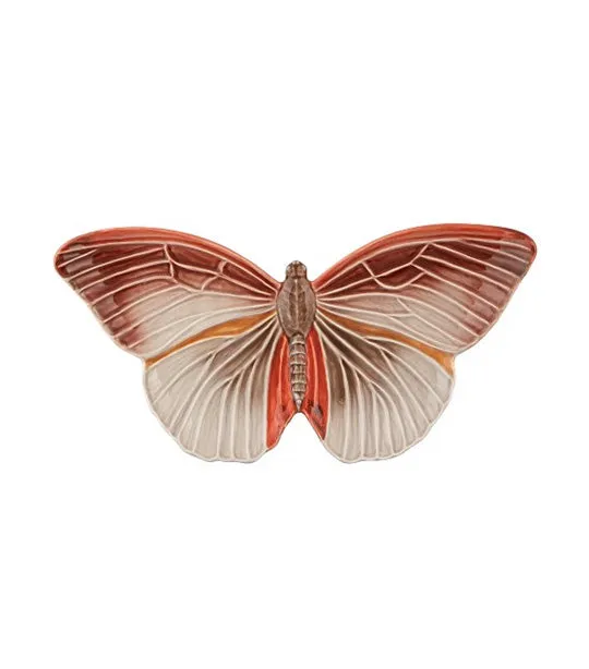 Cloudy Butterfly Collection