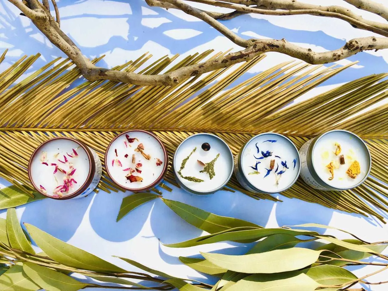 Five Wood-Wick, Eco-Friendly Candles Special Collection: Enjoy them all!