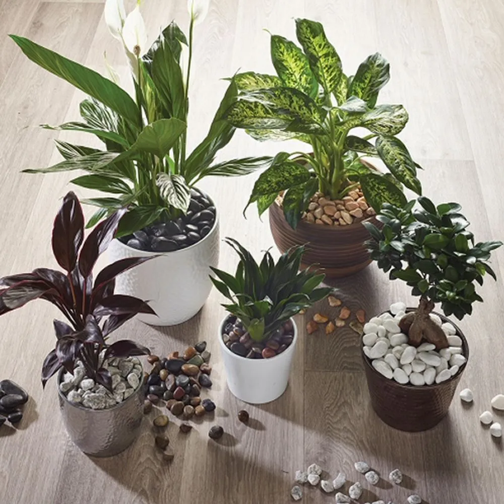 Kelkay French Grey Pot Toppers