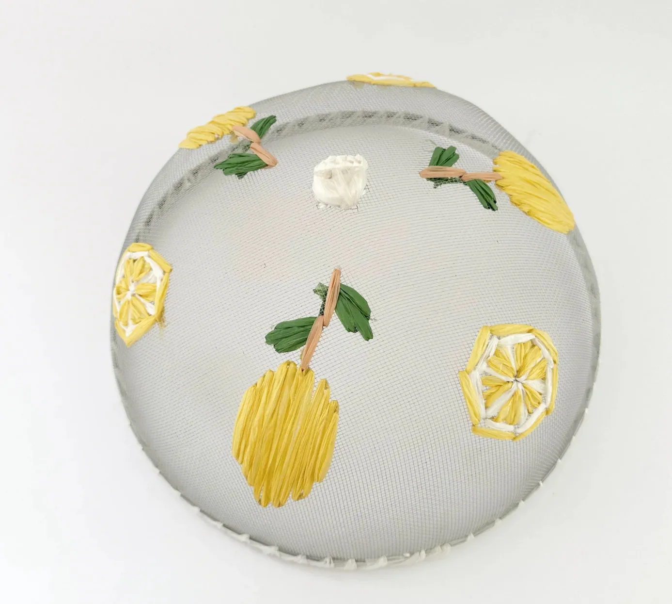 Limone Mesh Food Cover