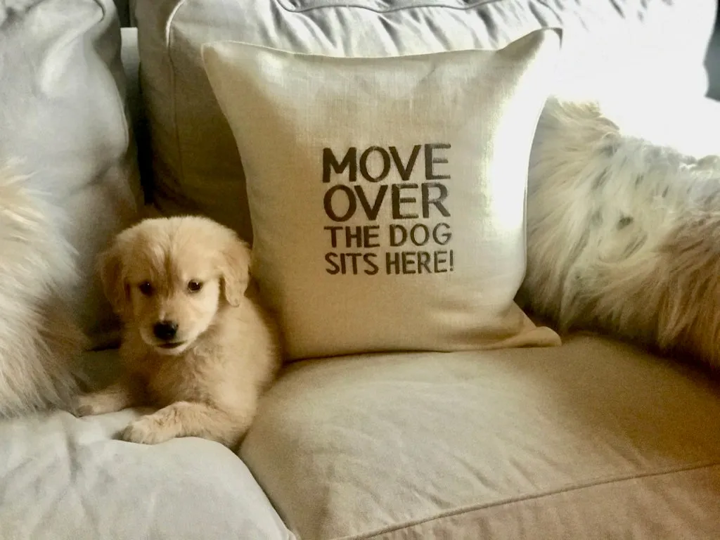 Linen DOG Pillow