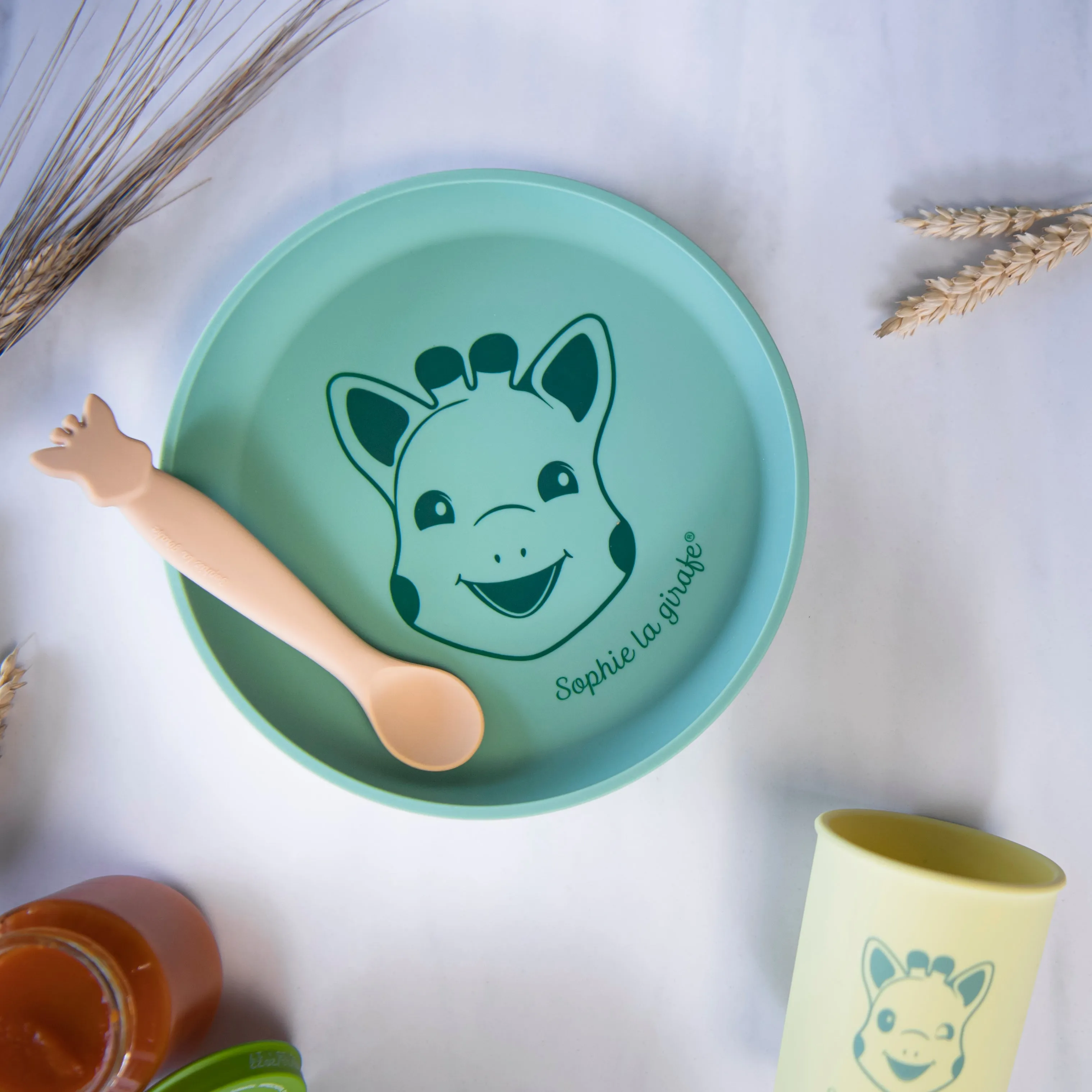 Silicone Meal set