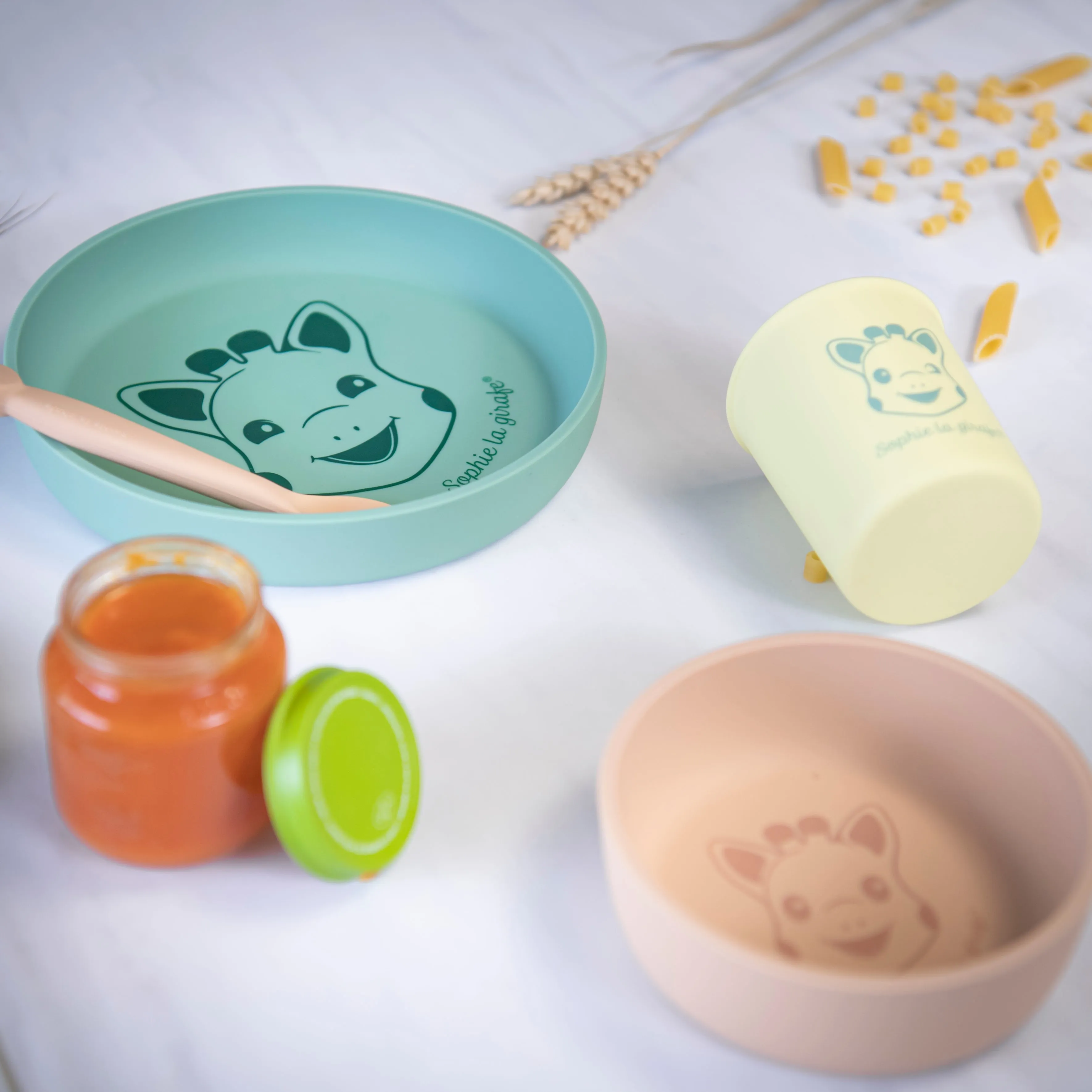 Silicone Meal set