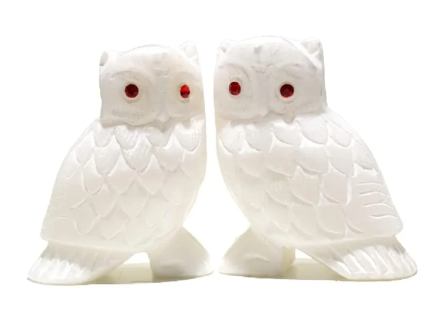 WonderHeaven White Marble Owl Pair: Marble Owl/Ullu/Guḍlagūba/Ghuvaḍa/Pecha/Hooter Showpiece Figurine for Vastu/Feng Shui Remedy, Home Decor and Gifting(1.5 Inches Long and 2.25 Inches in Height)